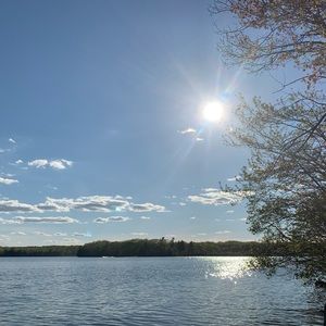 Meet your Posher, Alora